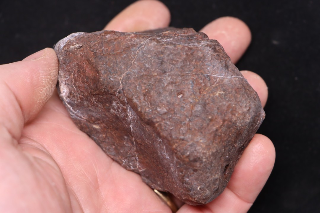 Météorite Chondrite ordinaire, NWA, Sahara