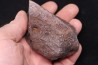 Météorite Chondrite ordinaire, NWA, Sahara