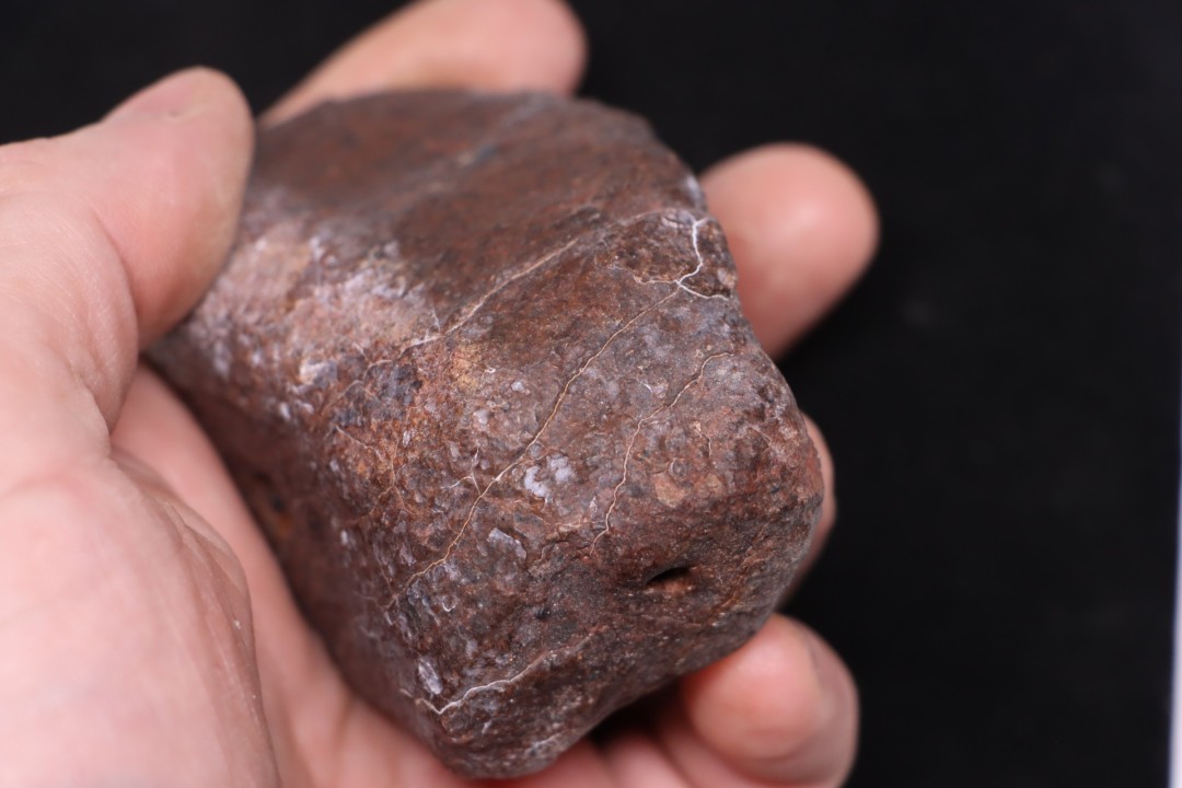 Météorite Chondrite ordinaire, NWA, Sahara