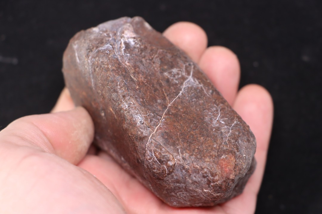 Météorite Chondrite ordinaire, NWA, Sahara