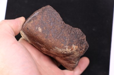 Météorite Chondrite ordinaire, NWA, Sahara