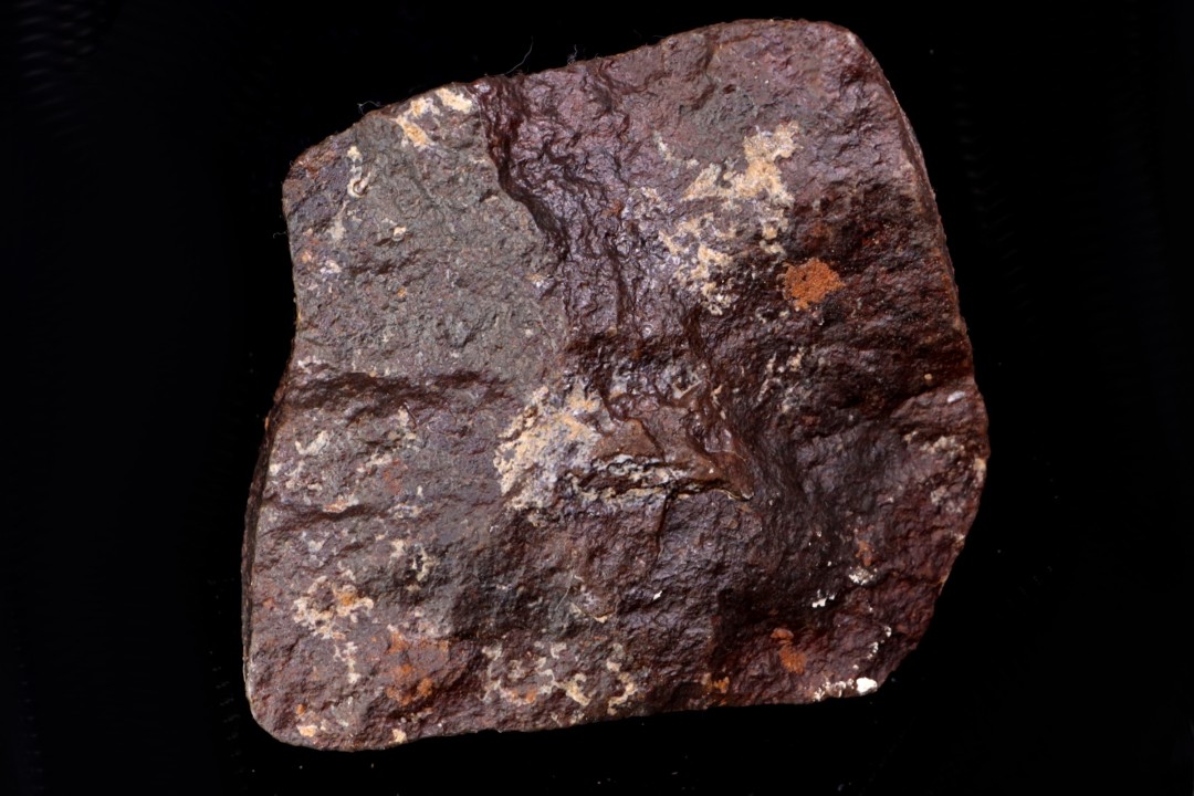Météorite Chondrite ordinaire, NWA, Sahara
