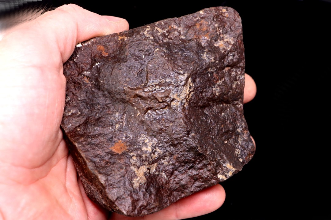 Météorite Chondrite ordinaire, NWA, Sahara