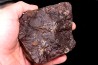 Météorite Chondrite ordinaire, NWA, Sahara