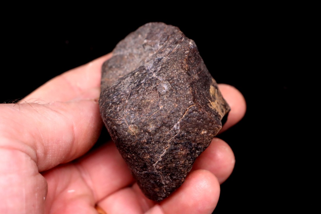 Météorite Chondrite ordinaire, NWA, Sahara