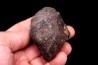 Météorite Chondrite ordinaire, NWA, Sahara