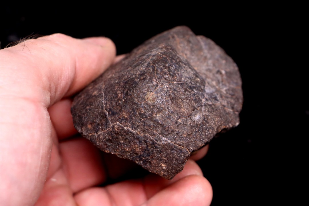 Météorite Chondrite ordinaire, NWA, Sahara