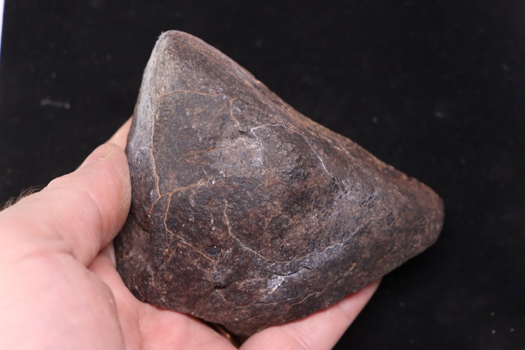 Meteorite Ordinary Chondrite, NWA, Sahara