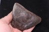 Meteorite Ordinary Chondrite, NWA, Sahara