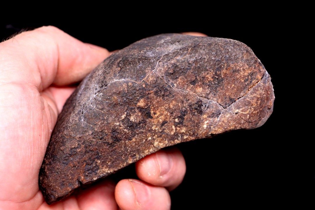 Meteorite Ordinary Chondrite, NWA, Sahara