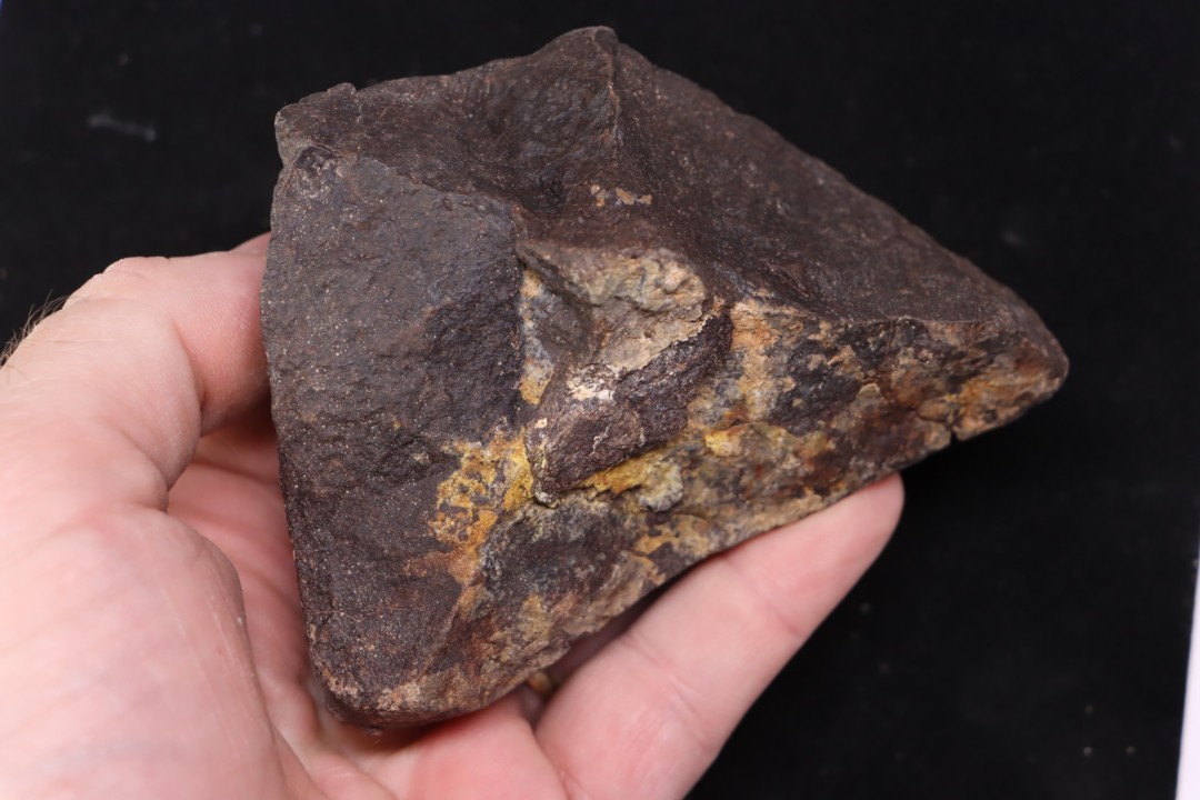 Meteorite Ordinary Chondrite, NWA, Sahara