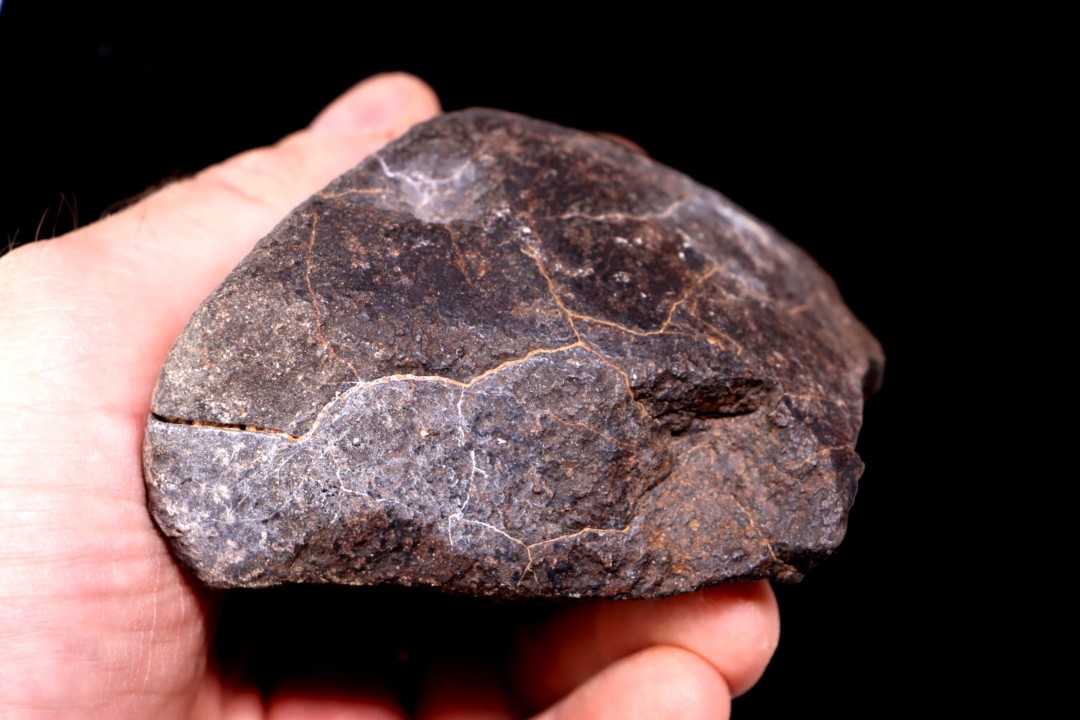 Météorite Chondrite ordinaire, NWA, Sahara