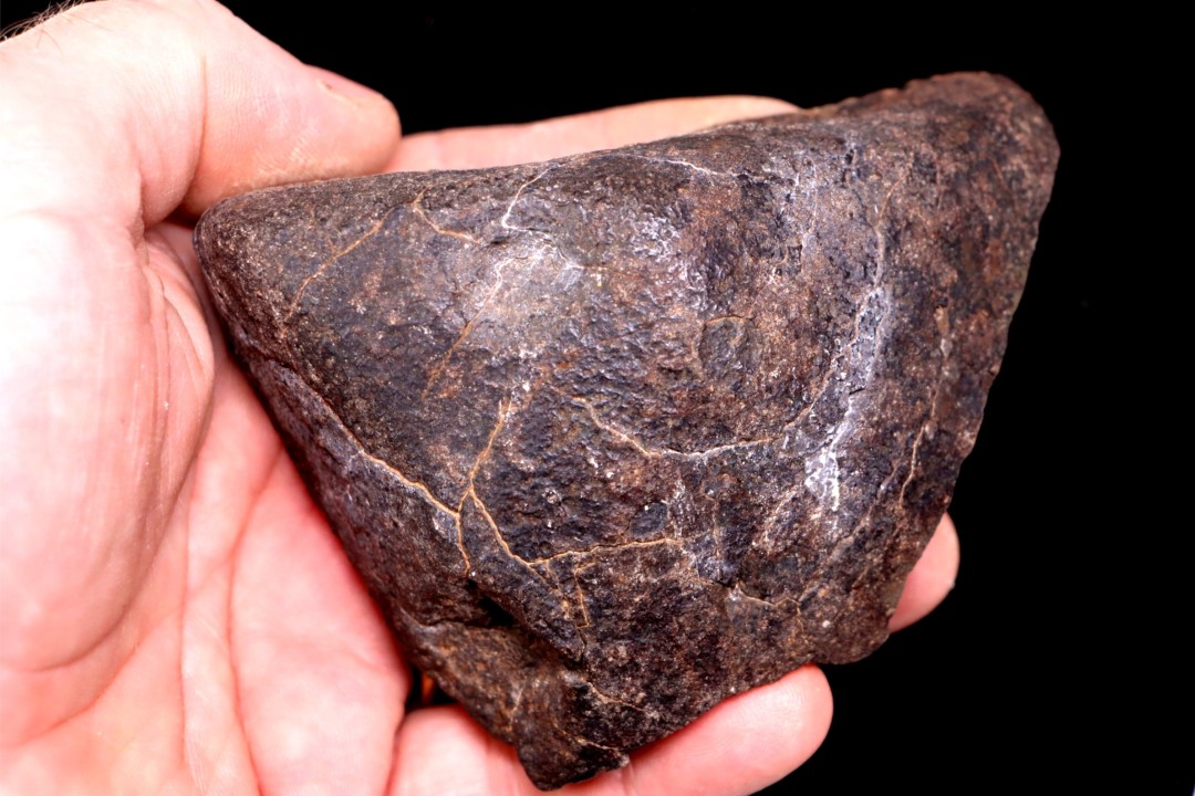 Météorite Chondrite ordinaire, NWA, Sahara