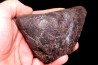 Météorite Chondrite ordinaire, NWA, Sahara