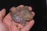 Météorite Chondrite ordinaire, NWA, Sahara