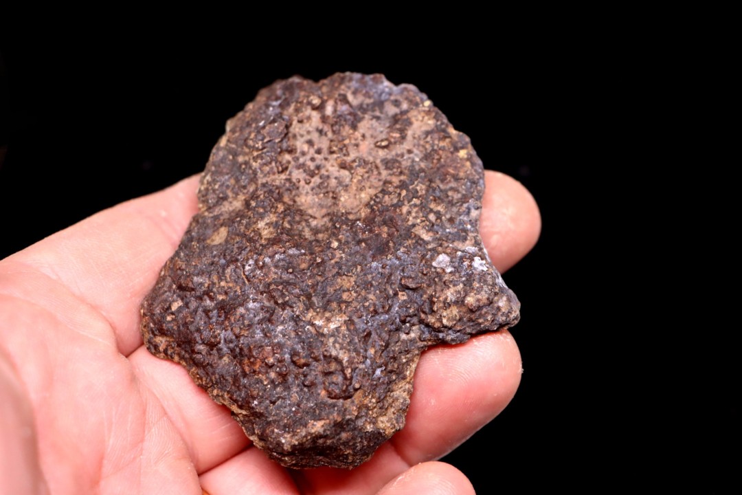 Meteorite Ordinary Chondrite, NWA, Sahara