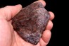 Météorite Chondrite ordinaire, NWA, Sahara