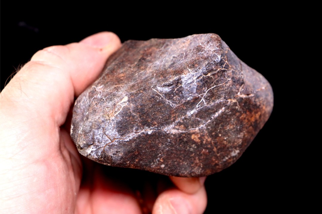 Meteorite Ordinary Chondrite, NWA, Sahara