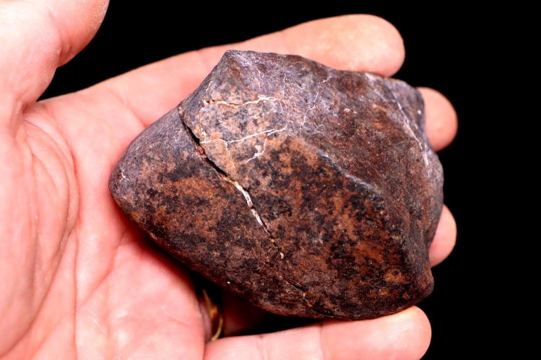 Météorite Chondrite ordinaire, NWA, Sahara