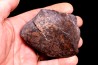 Météorite Chondrite ordinaire, NWA, Sahara