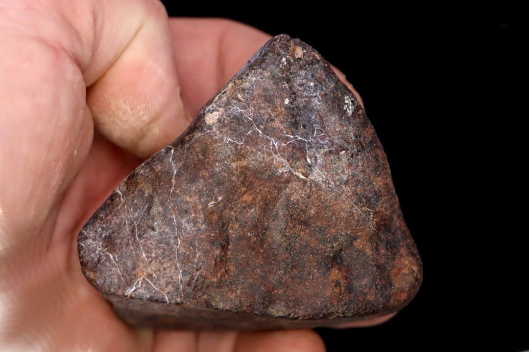 Météorite Chondrite ordinaire, NWA, Sahara