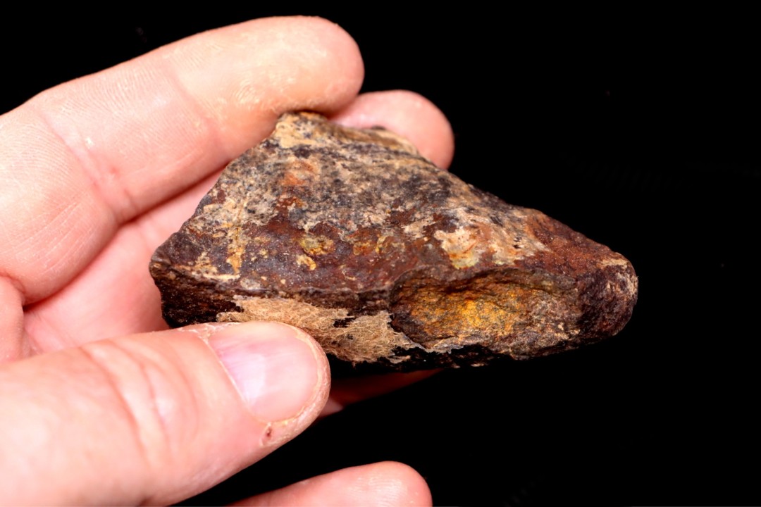 Météorite Chondrite ordinaire, NWA, Sahara