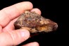 Meteorite Ordinary Chondrite, NWA, Sahara