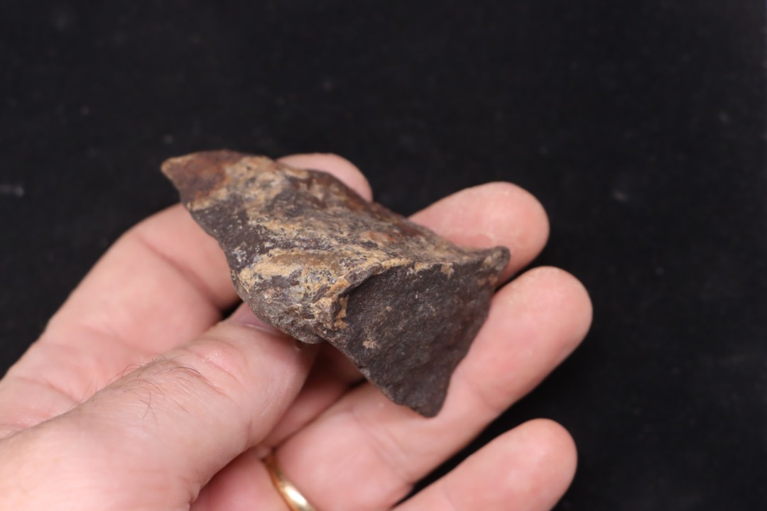 Météorite Chondrite ordinaire, NWA, Sahara