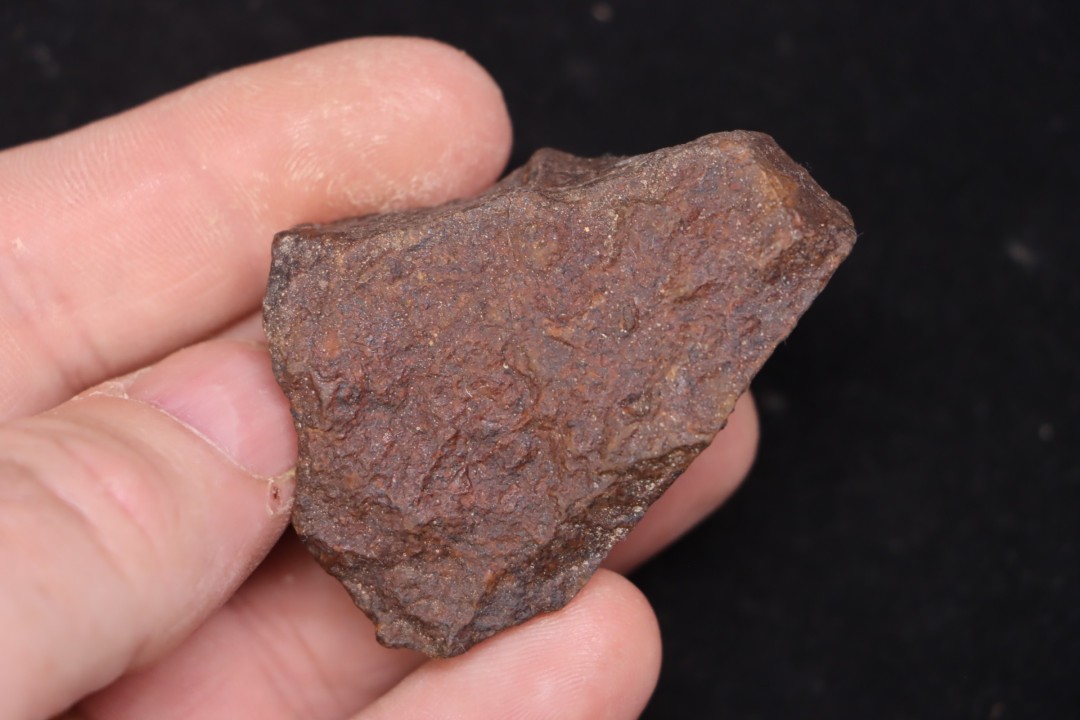 Météorite Chondrite ordinaire, NWA, Sahara