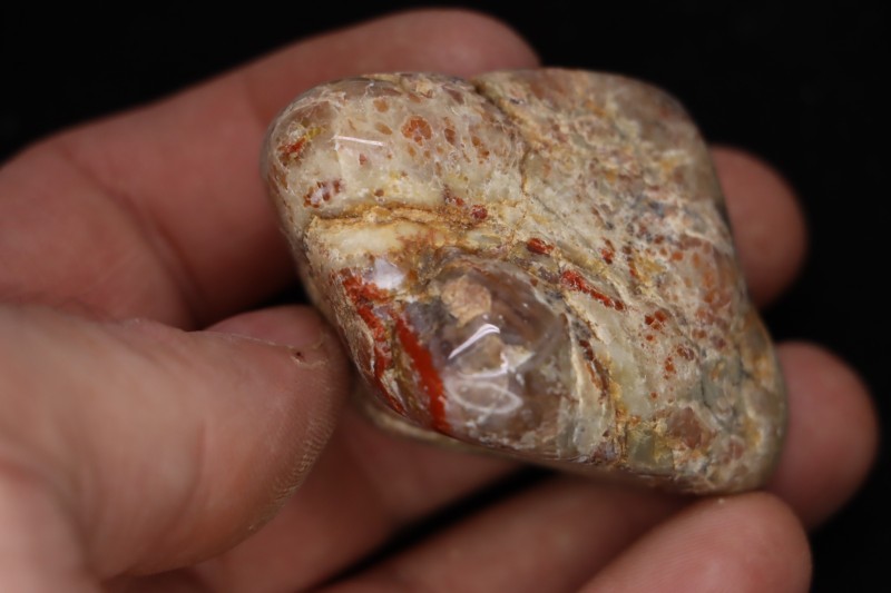 coprolithe de dinosaure - jurassique - Morrison Formation
