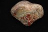 coprolithe de dinosaure - jurassique - Morrison Formation