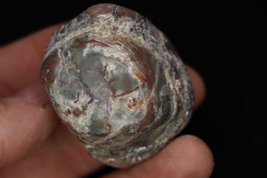 coprolithe de dinosaure - jurassique - Morrison Formation