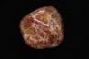 dinosaur coprolithe  jurassic  Morrison Formation  Utah - USA