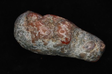 coprolithe de dinosaure - jurassique - Morrison Formation