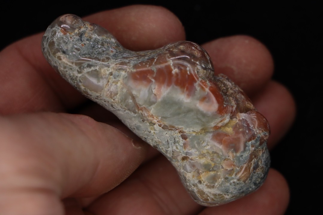coprolithe de dinosaure - jurassique - Morrison Formation