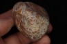coprolithe de dinosaure - jurassique - Morrison Formation