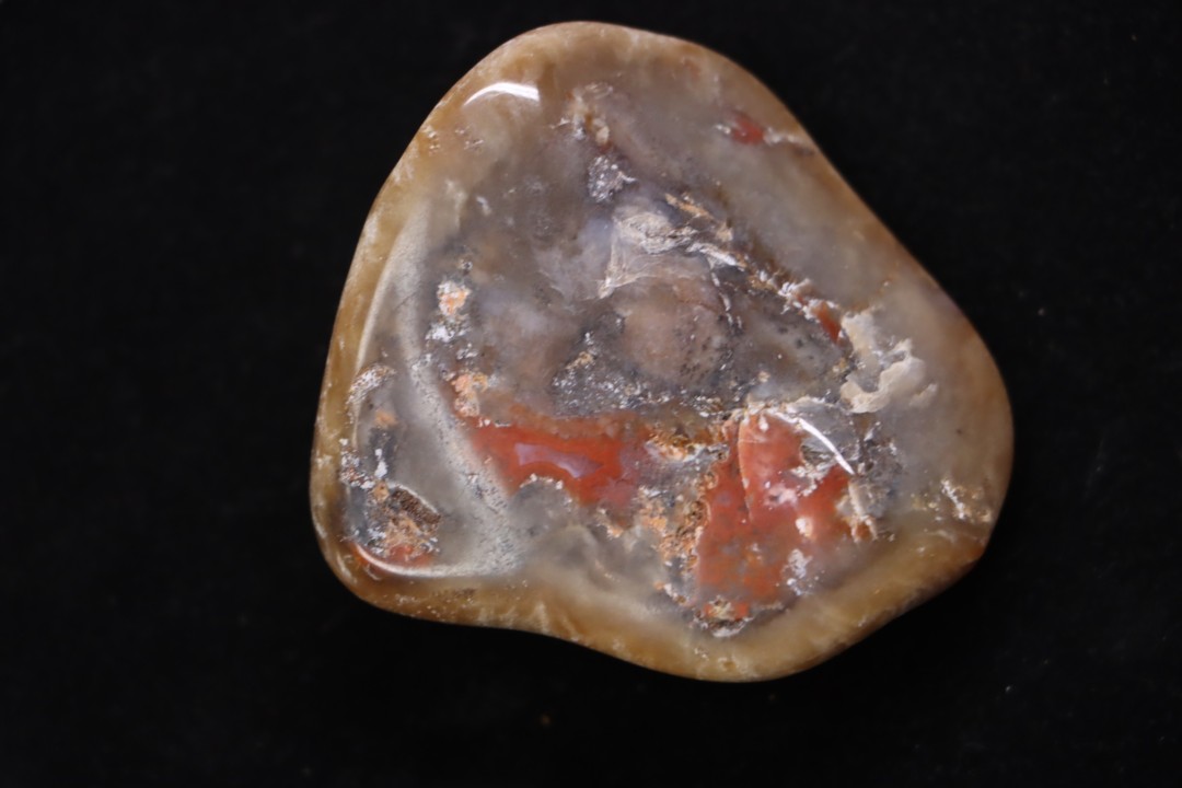 coprolithe de dinosaure - jurassique - Morrison Formation