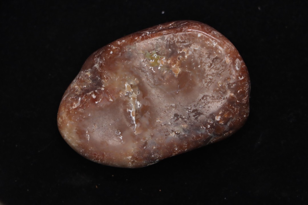dinosaur coprolithe  jurassic  Morrison Formation  Utah - USA