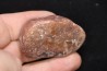 coprolithe de dinosaure - jurassique - Morrison Formation