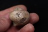 CYMATOCERAS SAKALAVUM - Albien - Madagascar