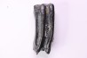 Equus complicatus tooth  Pleistocene   Beaufort County, South Carolina, United States