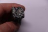 Equus complicatus tooth  Pleistocene   Beaufort County, South Carolina, United States