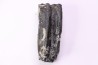 Equus complicatus tooth  Pleistocene   Beaufort County, South Carolina, United States