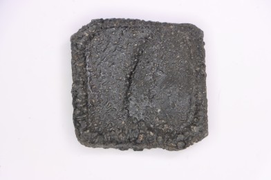 Holmesina flordanus  pliocene  florida river deposit  Florida, USA