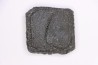 Holmesina flordanus  pliocene  florida river deposit  Florida, USA