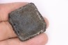 Holmesina flordanus  pliocene  florida river deposit  Florida, USA