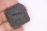 Holmesina flordanus  pliocene  florida river deposit  Florida, USA