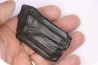 Equus complicatus tooth  Pleistocene   Beaufort County, South Carolina, United States