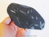 GRAPTOLITES  tetragraptus / phyllograptus / didymograptus