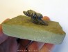 platycrinites hemisphericus